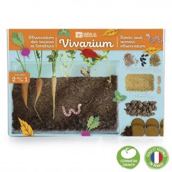 Boite du vivarium pour enfants